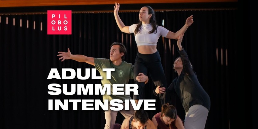 Pilobolus&rsquo;s Summer Intensive Workshop for Adults 2026