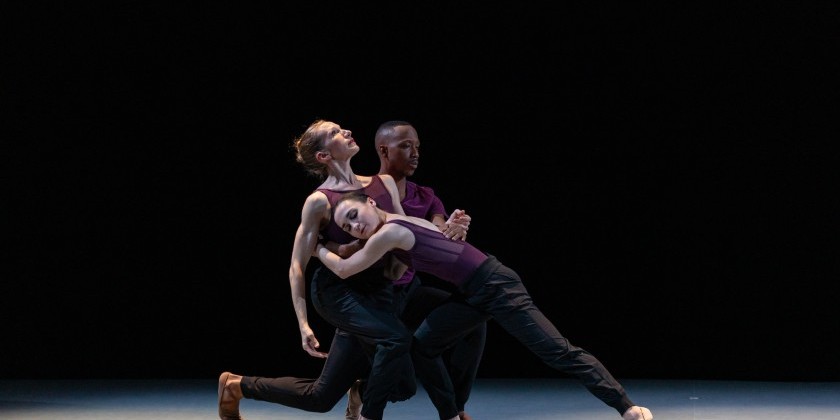 Lydia Johnson Dance Spring Season: Stirrings of the Heart