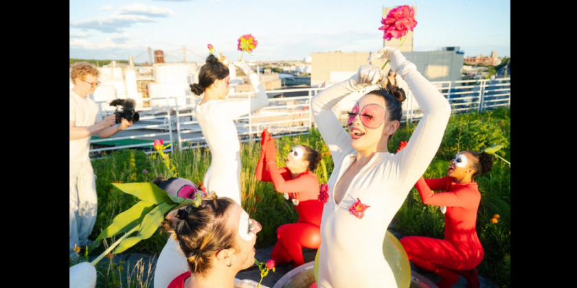 IMPRESSIONS: Karley Wasaff&rsquo;s "Growing Takes Time" at Noo Arts Wildflower's Green Roof