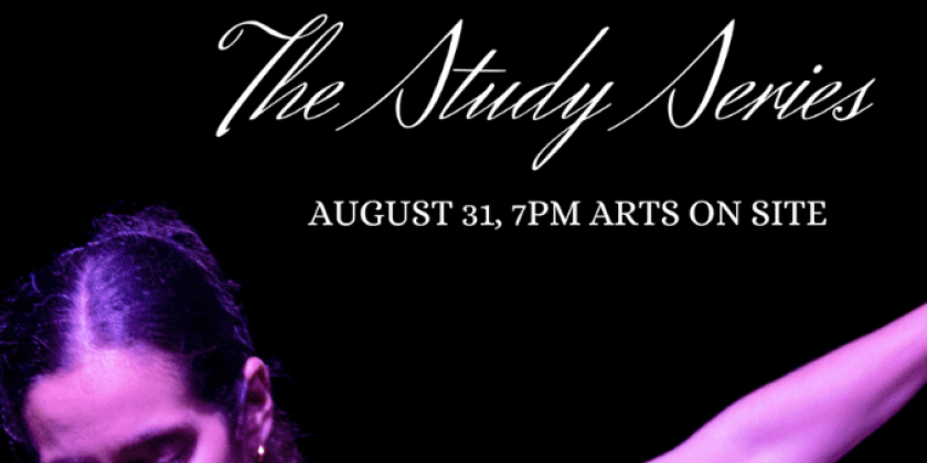August Showing of The Study Series at Arts On Site
