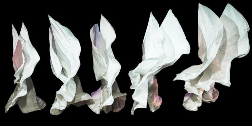 Jody Sperling/Time Lapse Dance To Honor Gail Merrifield Papp at Shapes of Change