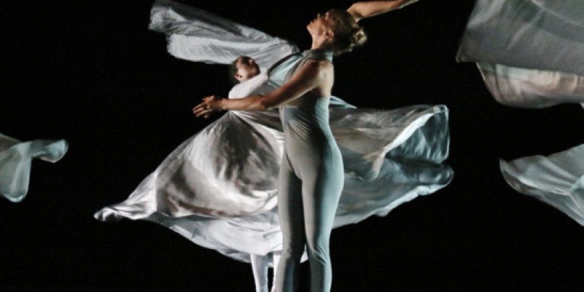 Time Lapse Dance seeks Intern