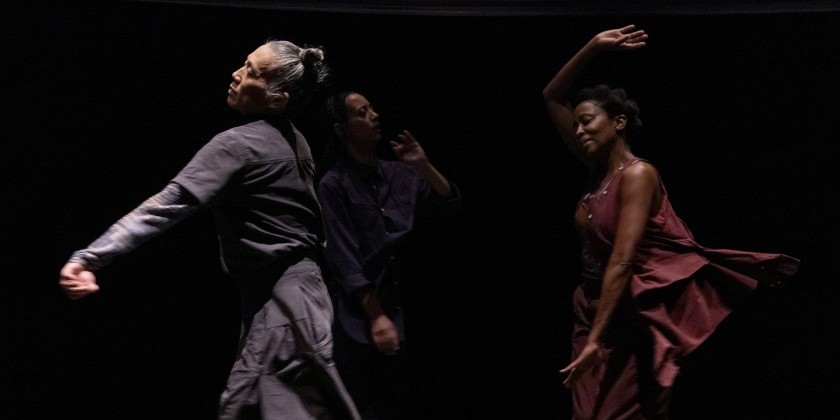 IMPRESSIONS: Wanjiru Kamuyu's "Fragmented Shadows" at New York Live Arts