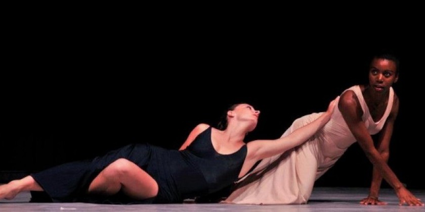 FINI  DANCE  FESTIVAL / Italian International Dance Awards