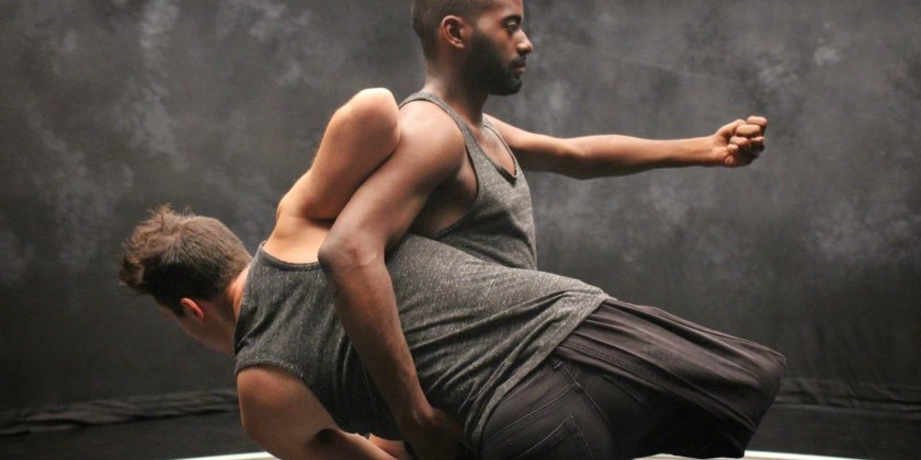 Auditions: Heidi Latsky Dance Seeks Diverse, Unique Performers