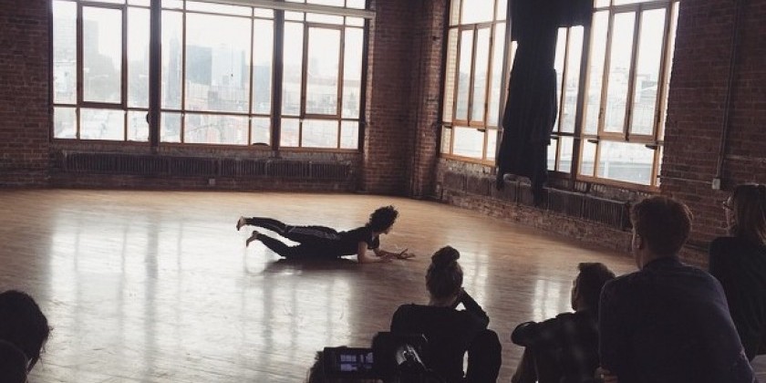 Chez Bushwick Artist-in-Residence Cycle 1 / Winter 2017