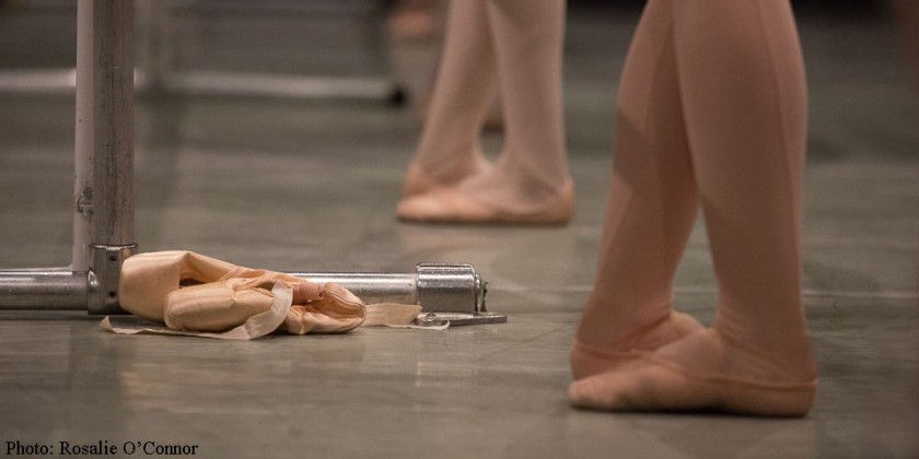 Front Desk Administrator for Ballet Academy East