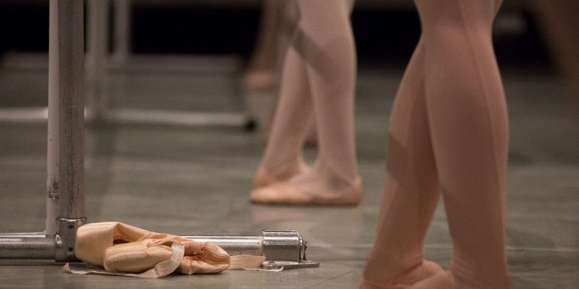 Front Desk Administrator for Ballet Academy East