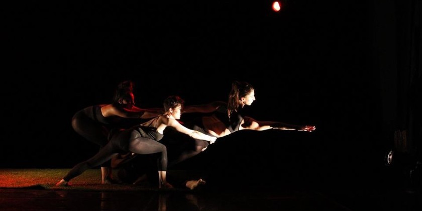 Nimbus Dance Works seeks male + female company members & apprentice dancers for 2015-16 Season