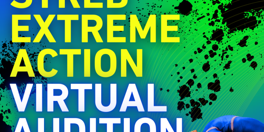 Be an Action Hero for The STREB Extreme Action Company (DEADLINE: JAN 20)