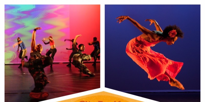 Purelements LIVE at SummerStage NYC