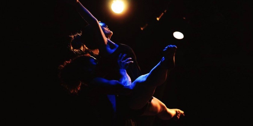 Harper Continuum Dance Theatre, Inc. in "Playing the Wild Card"