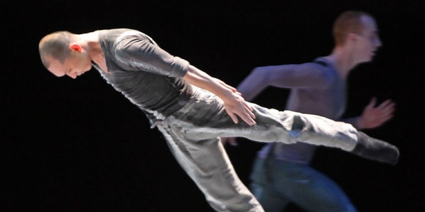 Shen Wei Dance Arts