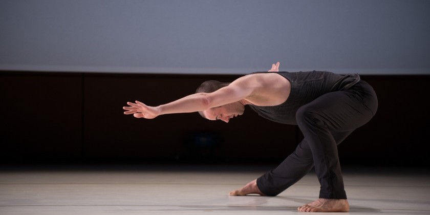 The Dance Enthusiast Meets 2014 Bessie Award Nominee Liz Gerring (Part 6)