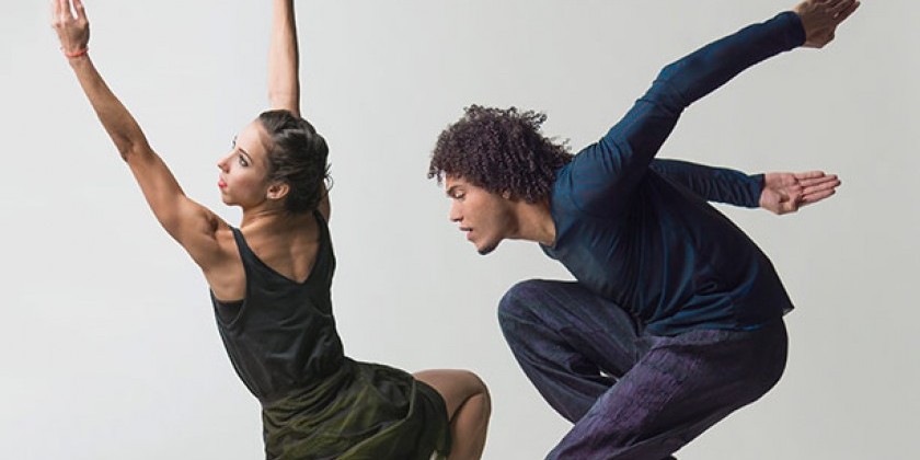 "Dreaming of Lions" at BAM