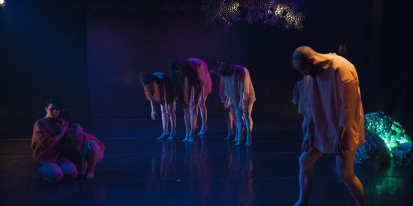 Intern for Mari Meade Dance Collective from May 1-June 20