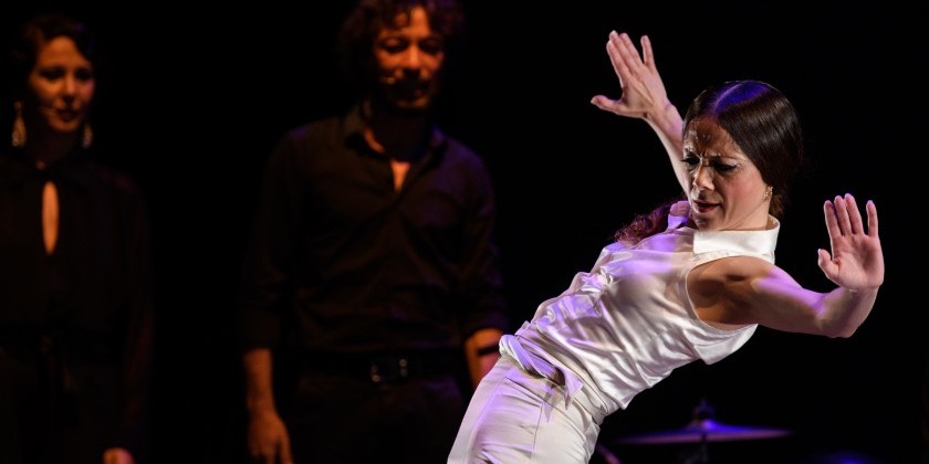 OLGA PERICET: ENFOQUE