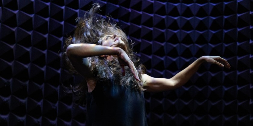 TAKE Dance presents &ldquo;Bamboo Dreams&rdquo;