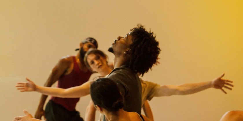 Limón Pro + Launch Training Programs