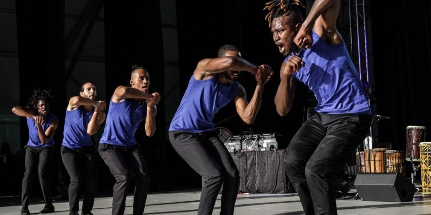 WASHINGTON DC: Audition for Step Afrika!
