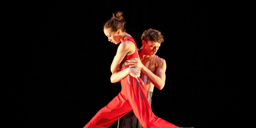 Attend Peridance Contemporary Dance Company's Summer Intensive 2026