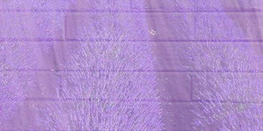 American Realness 2018: keyon gaskin