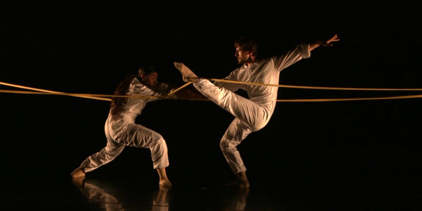WHITE WAVE Dance Announces the 25th Anniversary Season of the DUMBO Dance Festival (DDF)