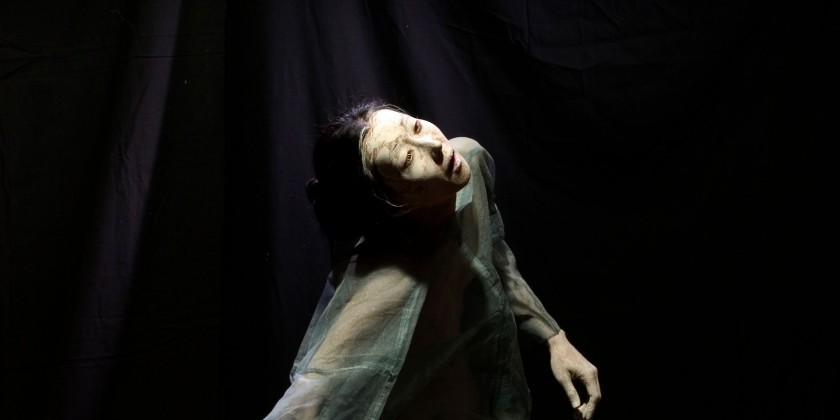 Vangeline Theater presents "Hitohana Hitosekai (One Flower One World)"