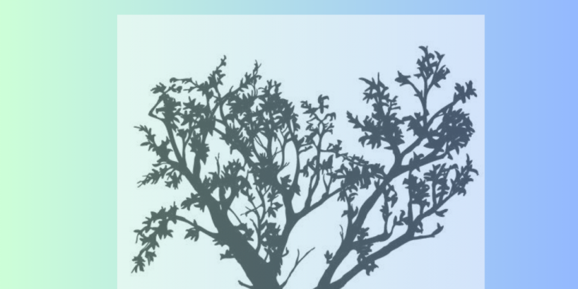 Dance Entropy, Inc. Introduces a Somatic Healing Group 