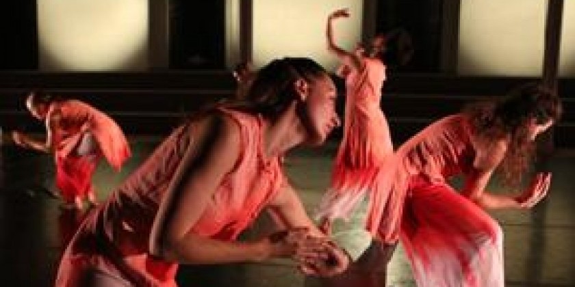 Cherylyn Lavagnino Dance's Season at Danspace Project