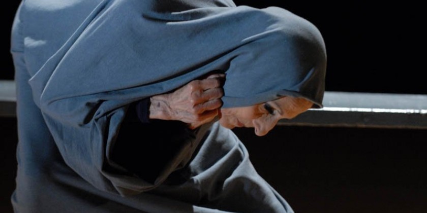 THE DEBORAH ZALL PROJECT: IN THE COMPANY OF WOMEN, AND GUESTS