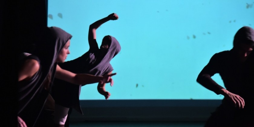 BARKIN/SELISSEN PROJECT seeks Managing Director/Development Director