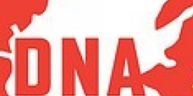 Dance New Amsterdam files for Chapter 11 Bankruptcy Reorganization