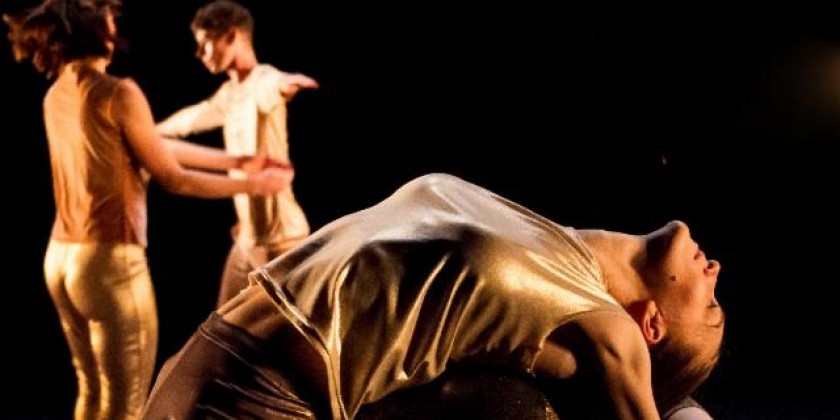 Intern with Trisha Brown Dance Company