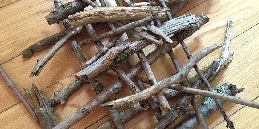 The Exponential Festival: "OoRT PROLOGUE: Seed Silent in the Field" - an OZET production