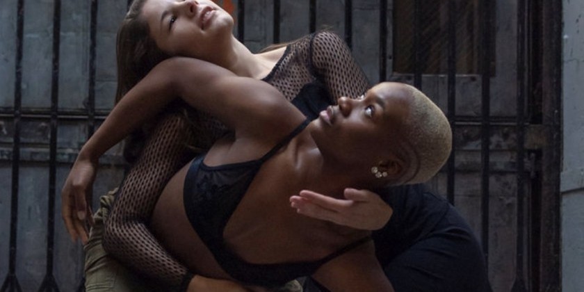 HARTFORD, CT: Artists Give Back via The Hartford Dance Collective