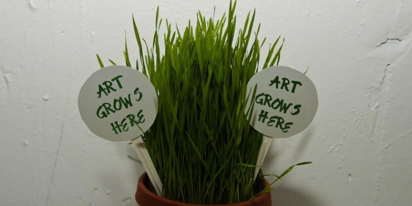 Fieldwork - Fall 2016