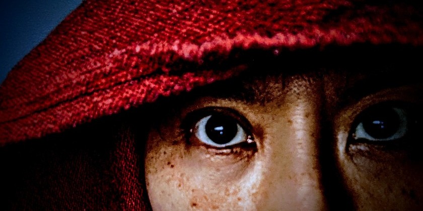 Take Root with Biodynamic Movement Inc./Fischer & Choi & SYREN Modern Dance