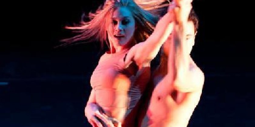 Jennifer Muller/The Works is offering 1-2 internship positions in NYC