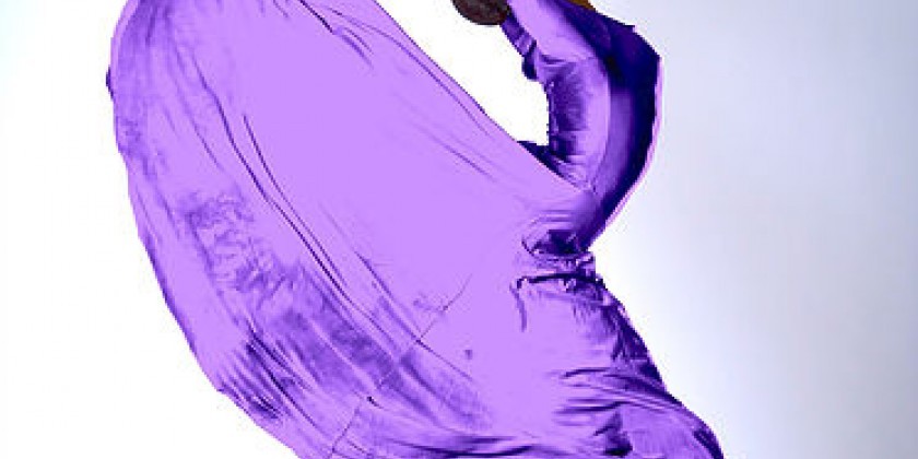 Ballet des Am&eacute;riques Company Audition