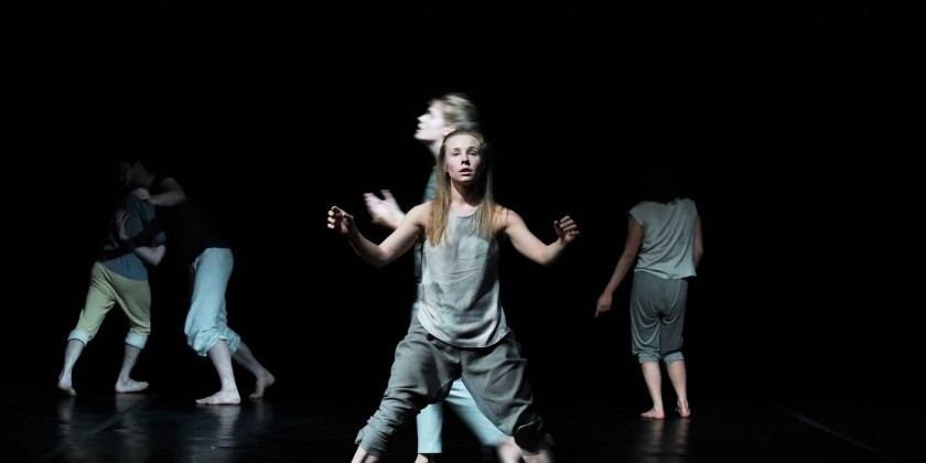 La MaMa Moves! Dance Festival: Kari Hoaas Productions presents "Shadowland"