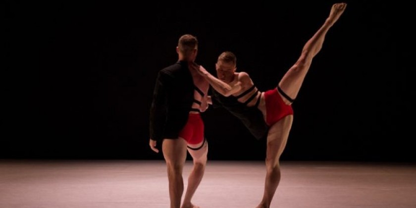 10 Hairy Legs 2016 New York Season