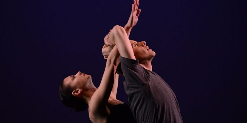 Lydia Johnson Dance at New York Live Arts