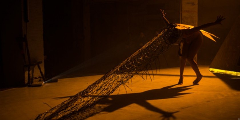 New York Live Arts presents "Memoirs of a ...Unicorn" (Uncut Screening, 2018)