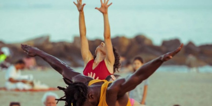 Netta Yerushalmy: Live Artery - "Paramodernities"