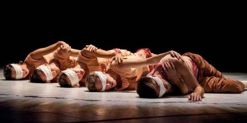 zoe | juniper: Live Artery - "CLEAR & SWEET"