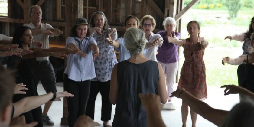 "Last Audience" by Yanira Castro / a canary torsi