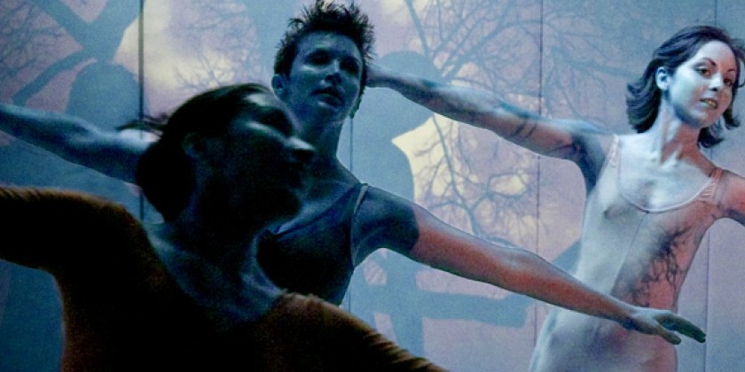 Intern for Anabella Lenzu/DanceDrama