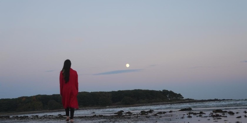 Kaatsbaan Cultural Park Presents Nichole Canuso’s Branching Paths: Lunar Retreat