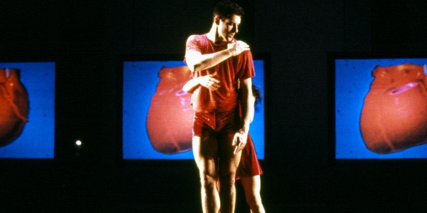 "Still/Here" by Bill T. Jones: A Compelling Look at Life's Complex Fragility